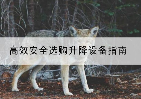 连山升降货梯厂家推荐-*安全选购升降设备指南