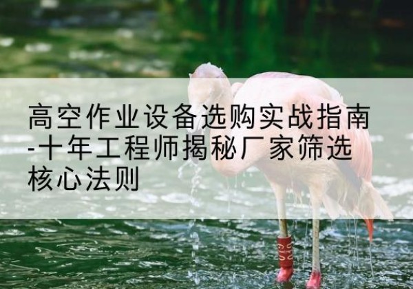 连山剪叉式升降机厂家-高空作业设备选购实战指南-十年工程师揭秘厂家筛选核心法则